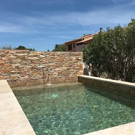 Des Glaieuls La Palme